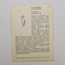 Картинка 2
