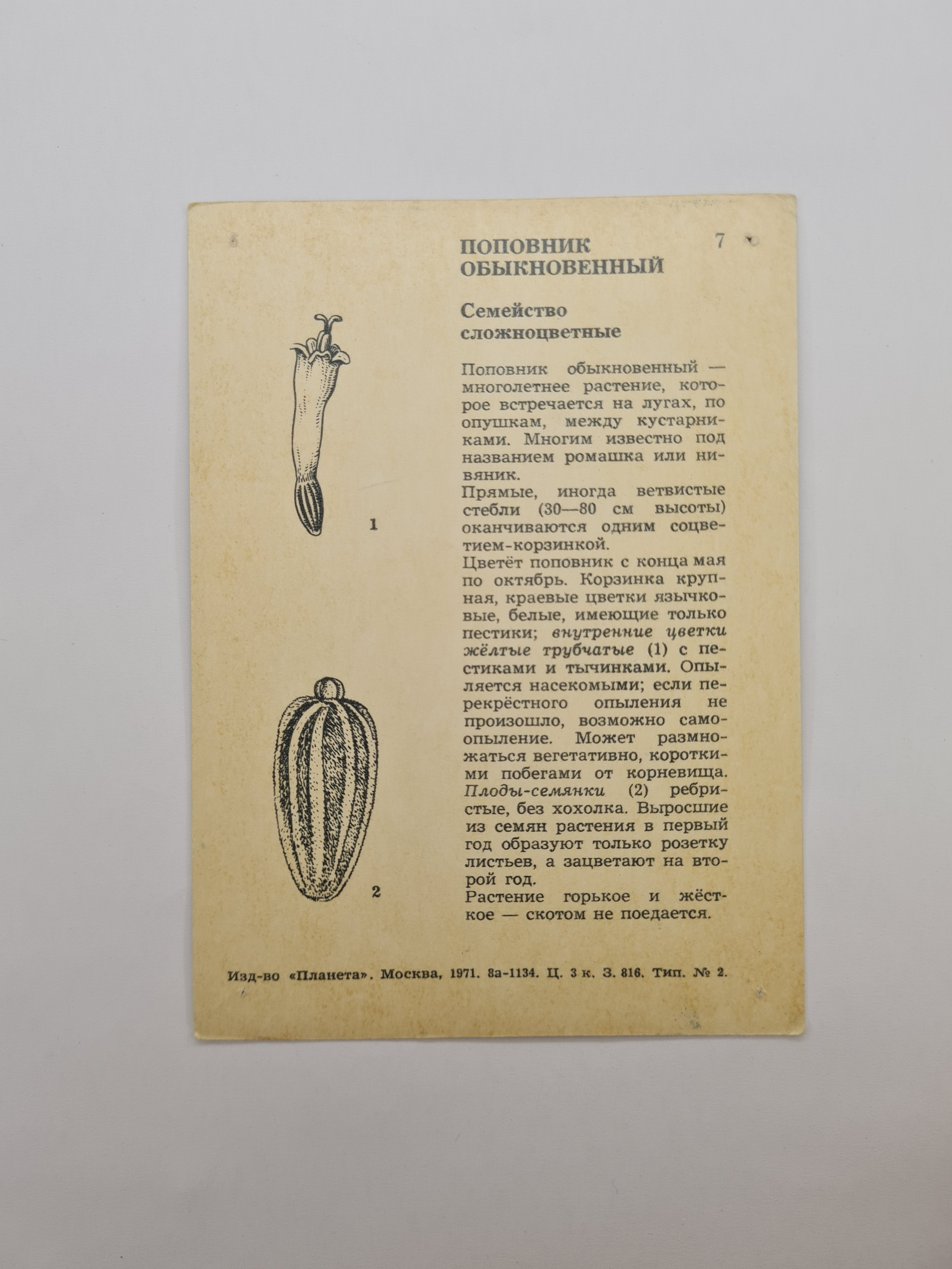 Картинка 2