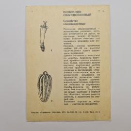Картинка 2