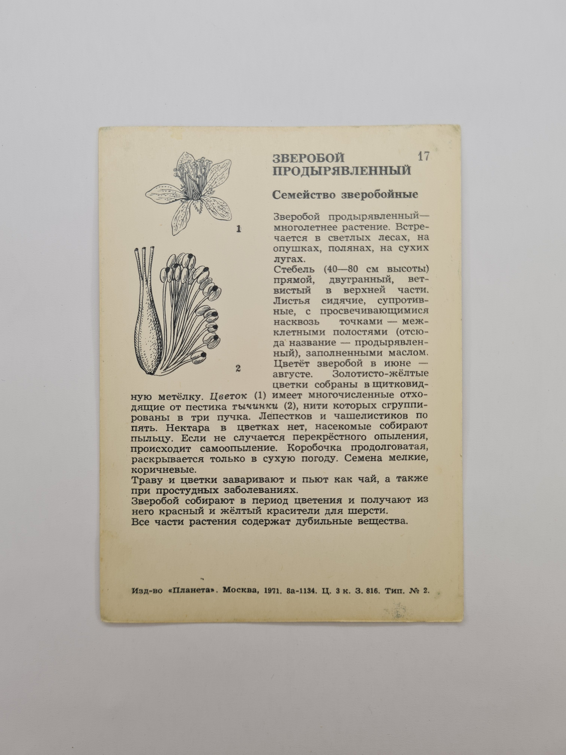 Картинка 2