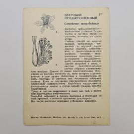 Картинка 2