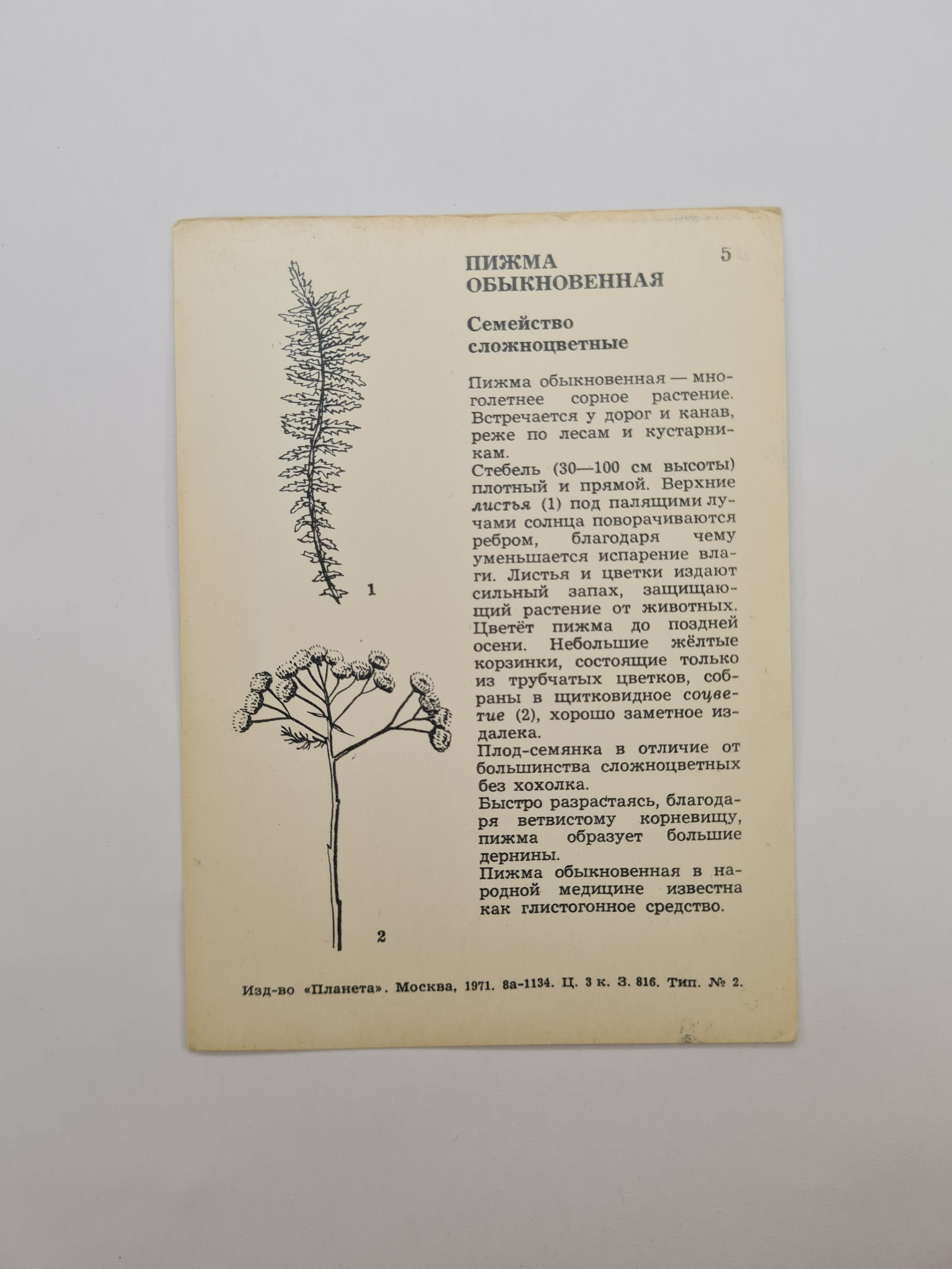 Картинка 2