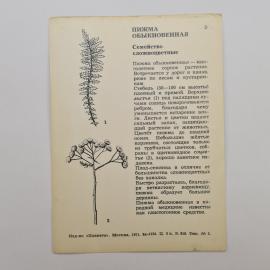 Картинка 2