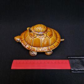 Картинка 7