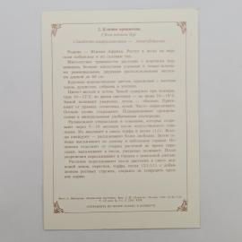 Картинка 2