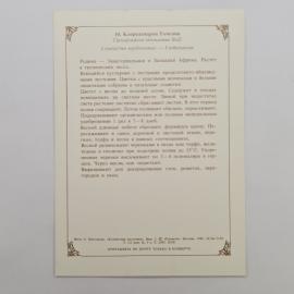 Картинка 2