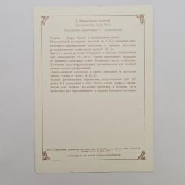 Картинка 2