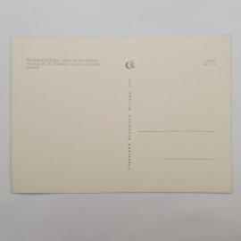 Картинка 2