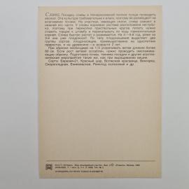Картинка 2