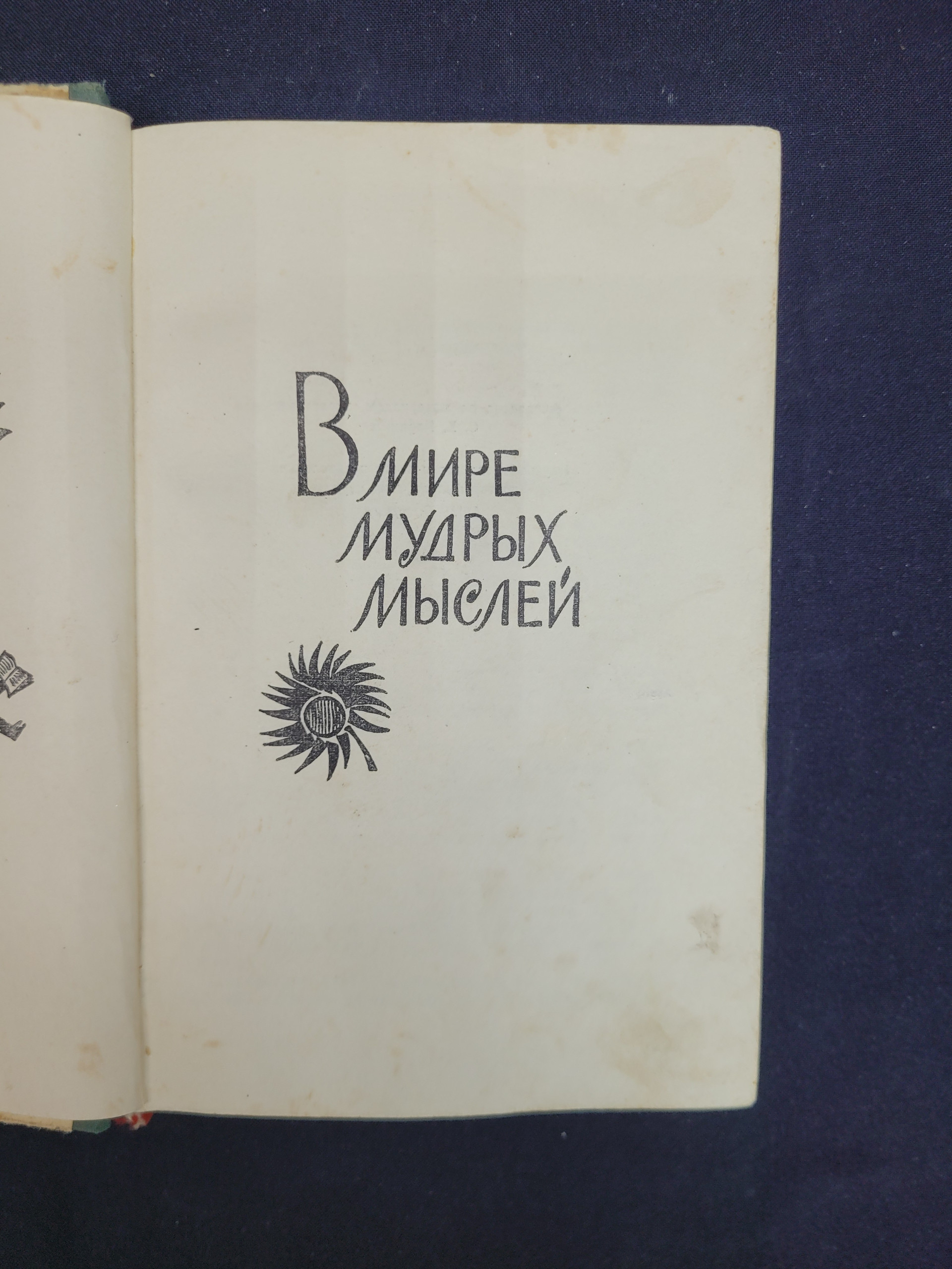 Картинка 4