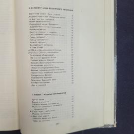 Картинка 6