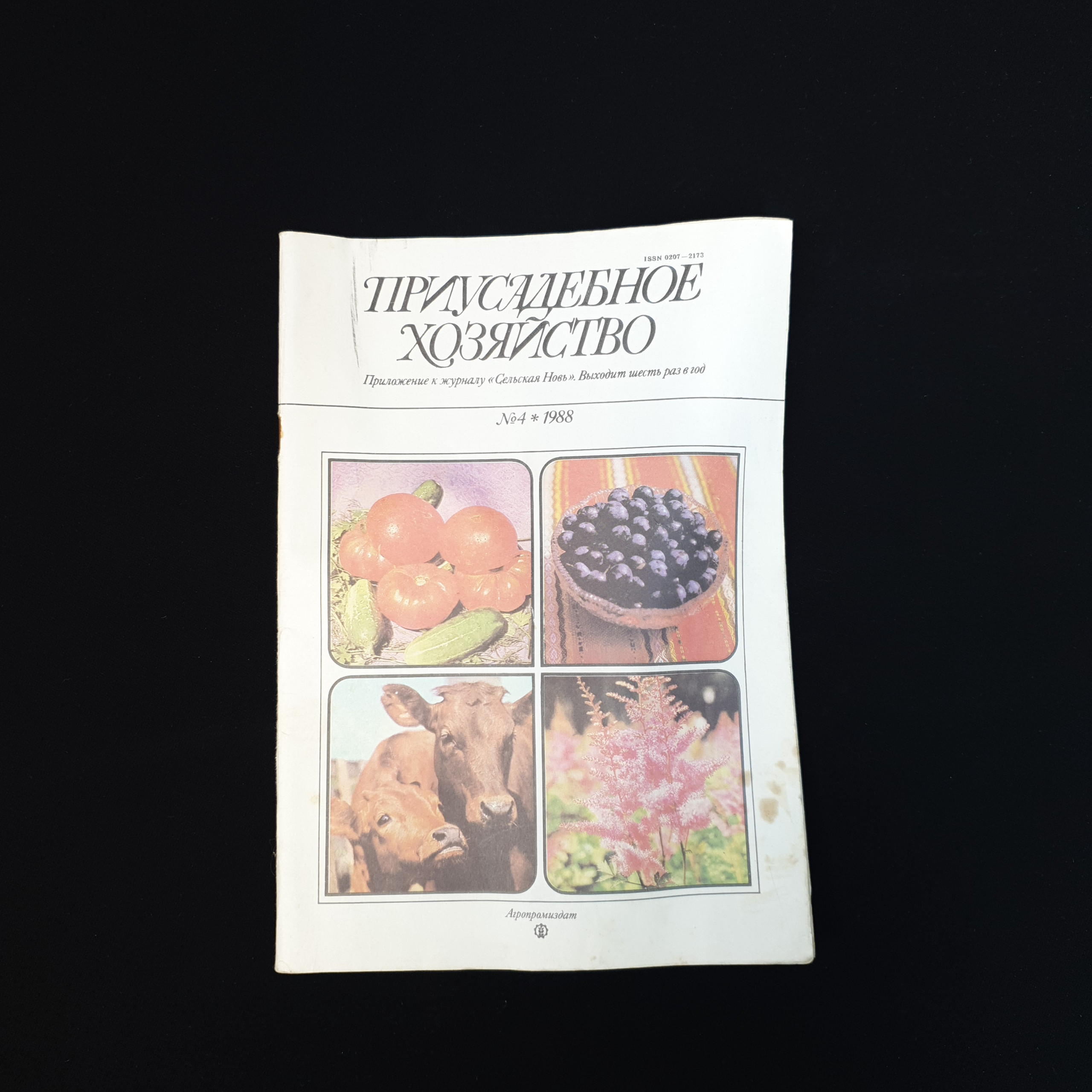 Картинка 1