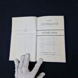 Картинка 4