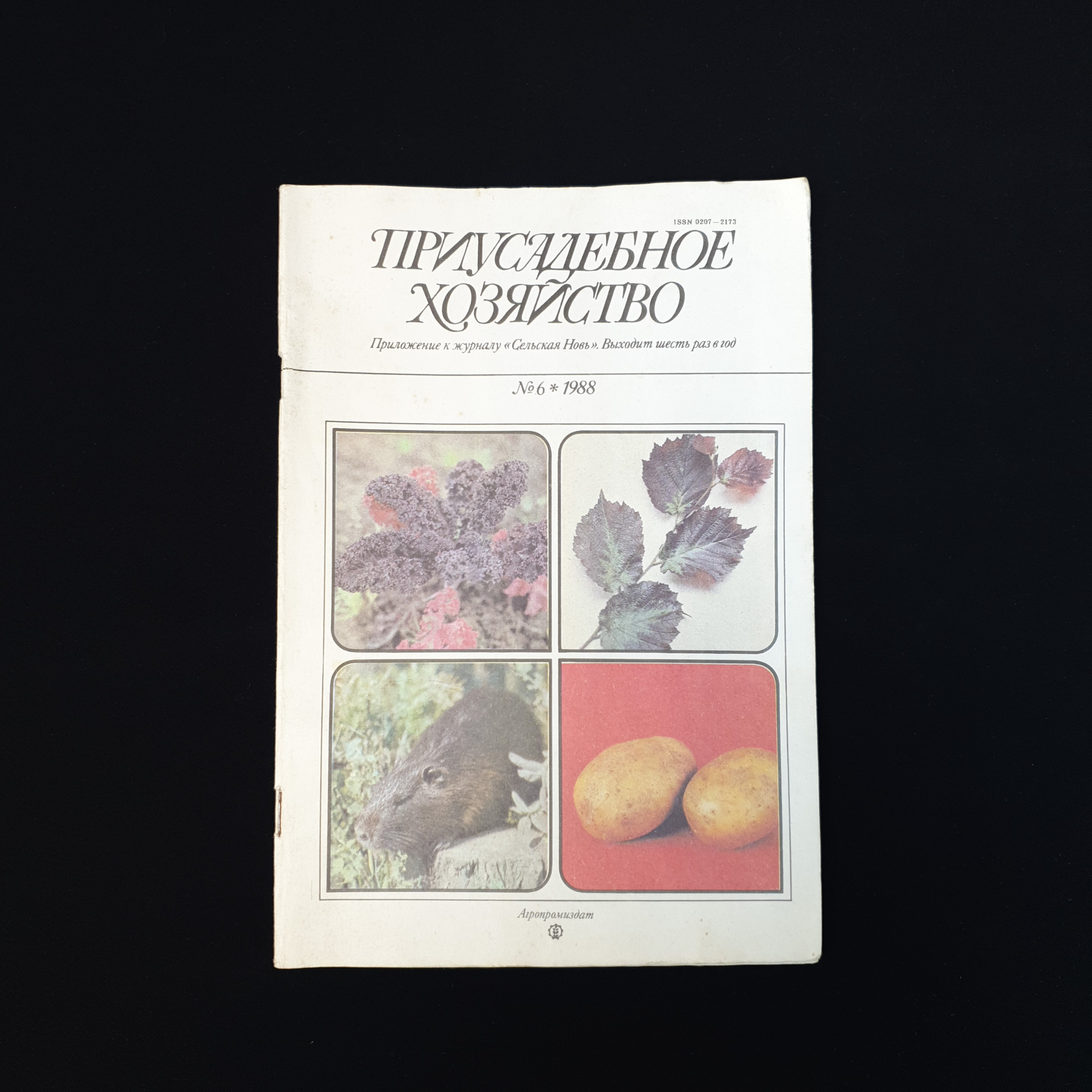 Картинка 1