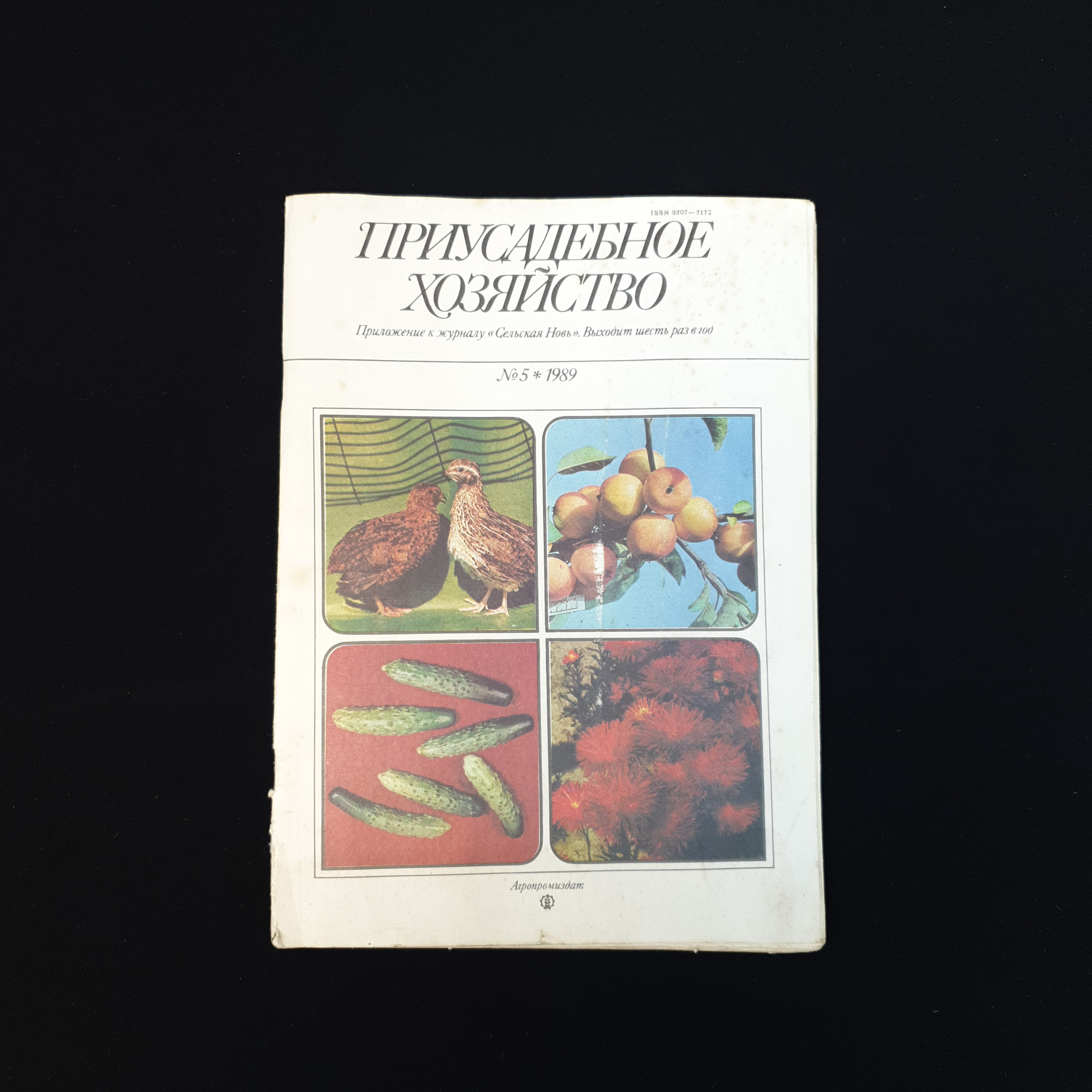 Картинка 1