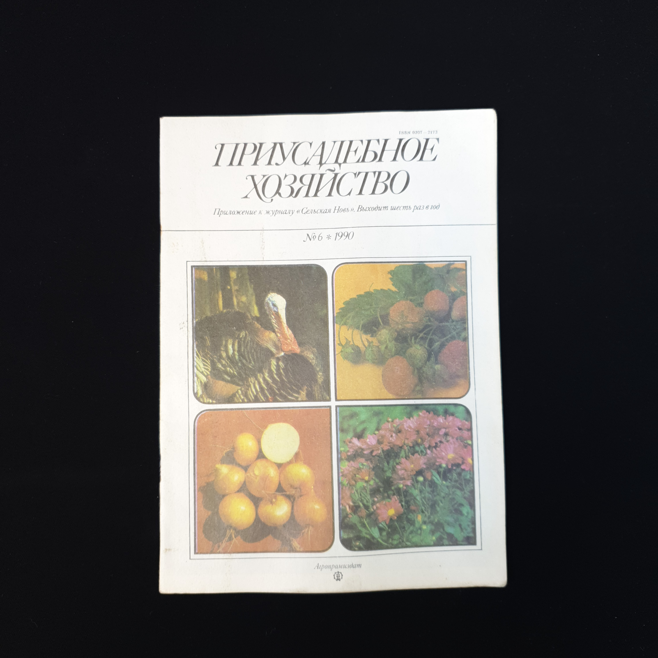 Картинка 1