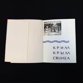 Картинка 3