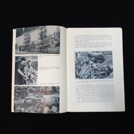 Картинка 4