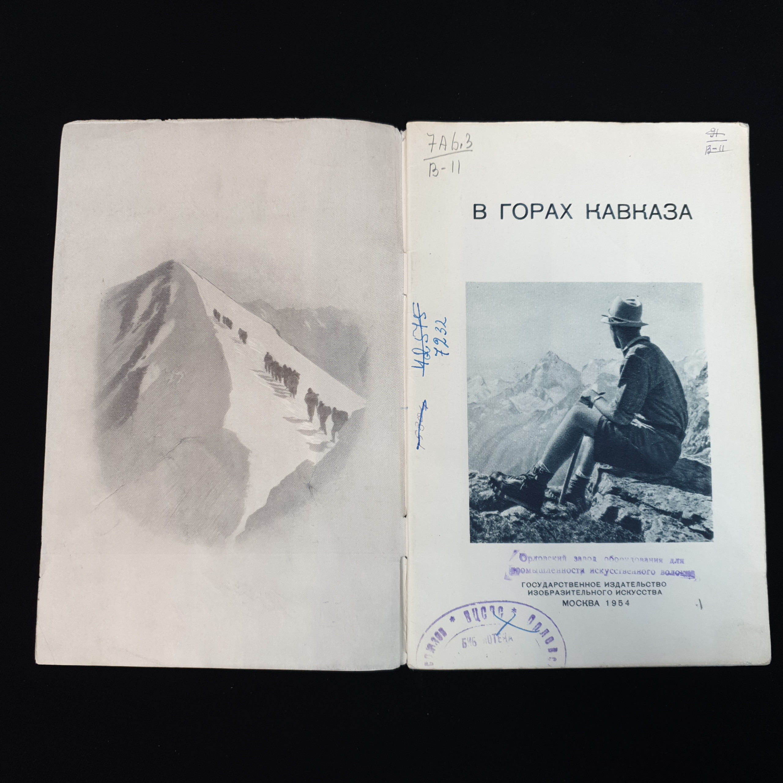 Картинка 3