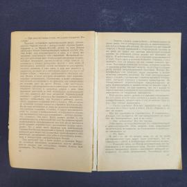 Картинка 5