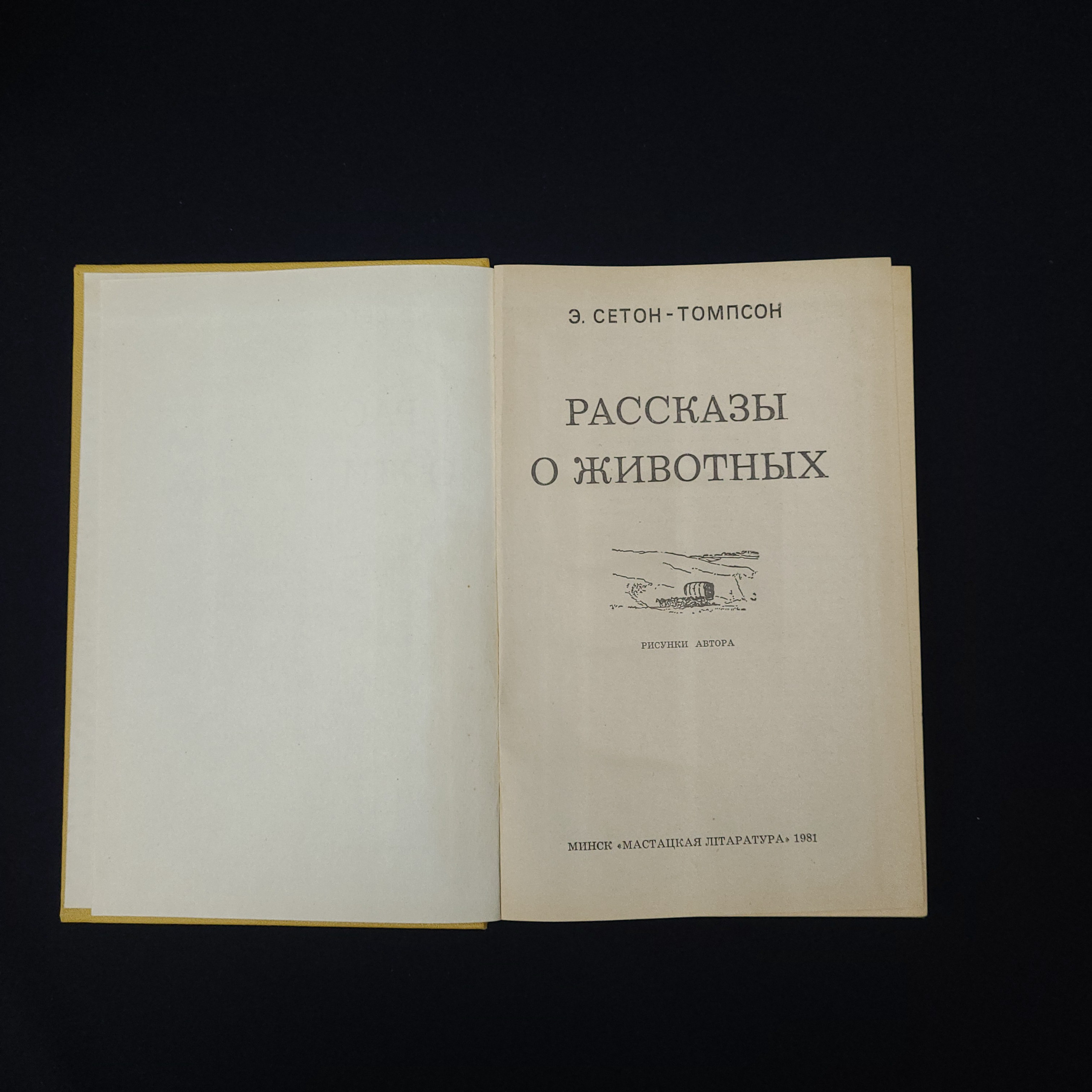 Картинка 4