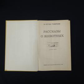 Картинка 4