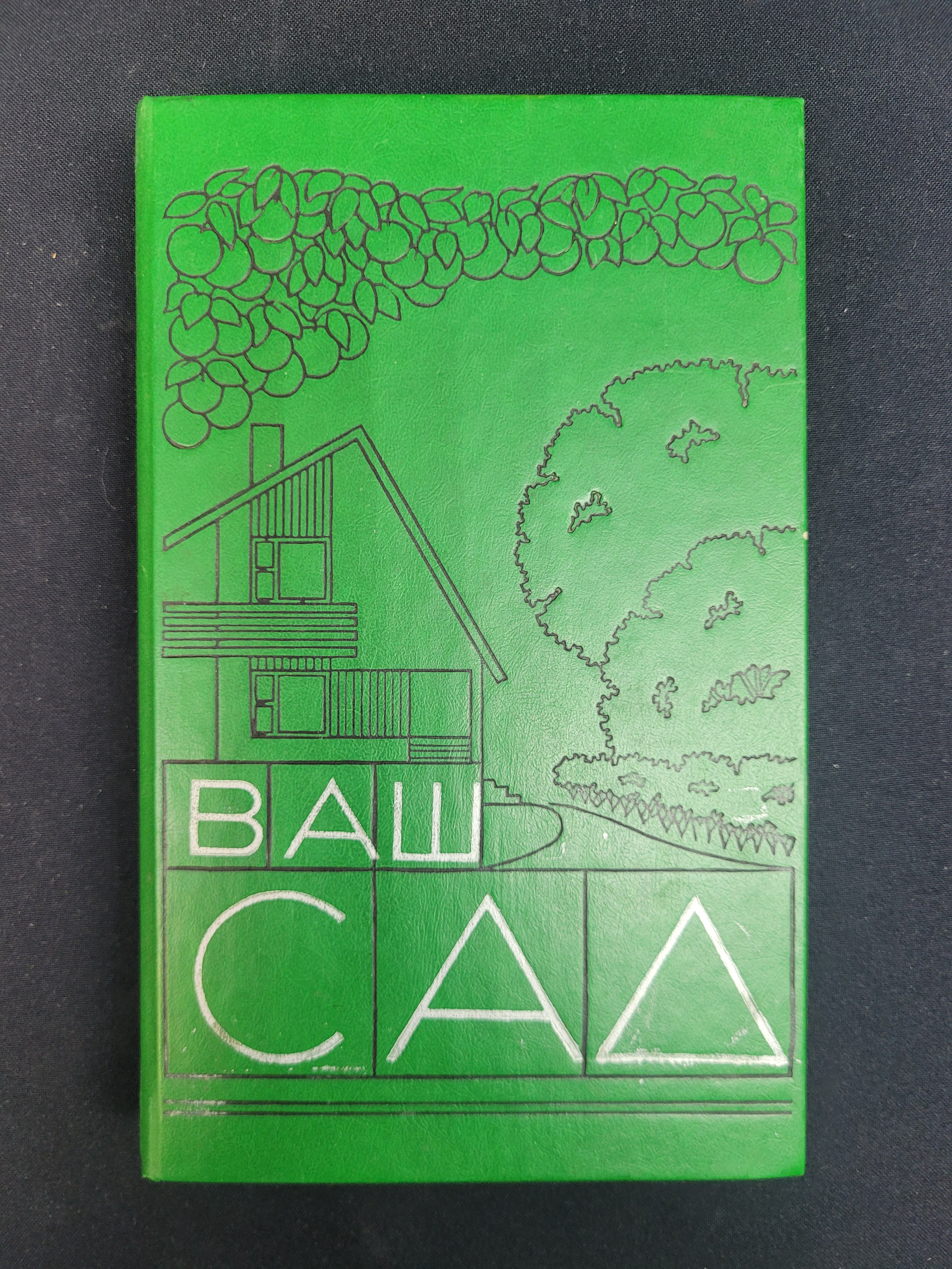 Картинка 1