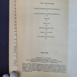 Картинка 6