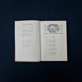 Картинка 5