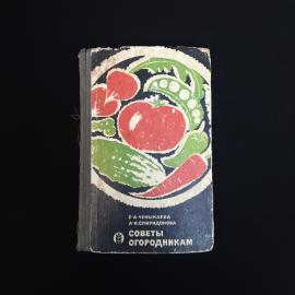 Картинка 1
