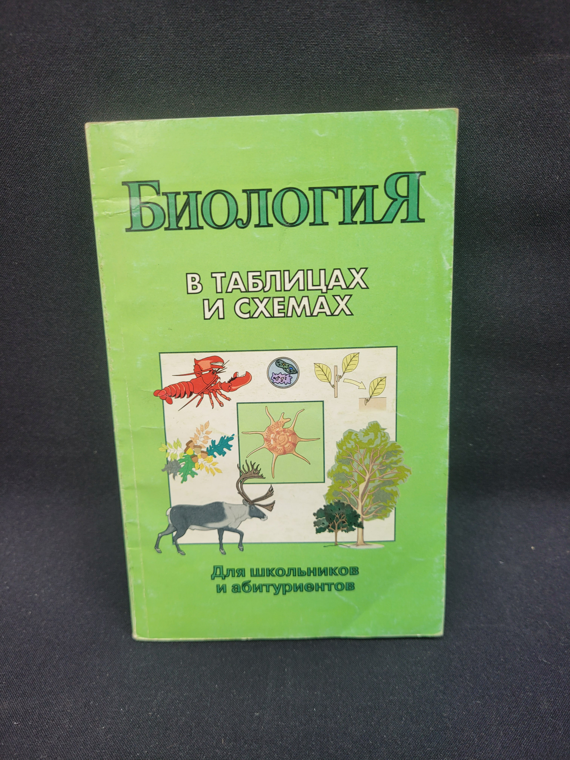 Картинка 1