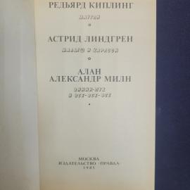 Картинка 4