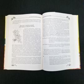 Картинка 5