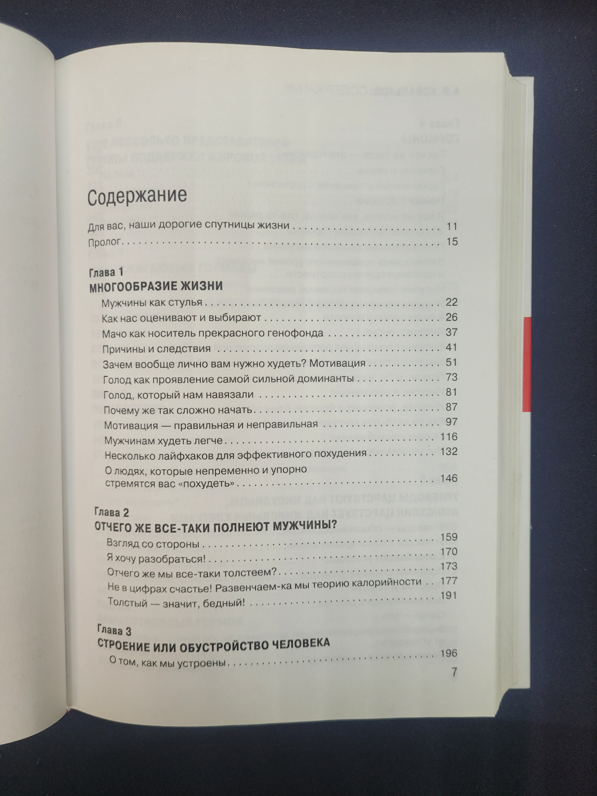 Картинка 6