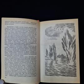 Картинка 6