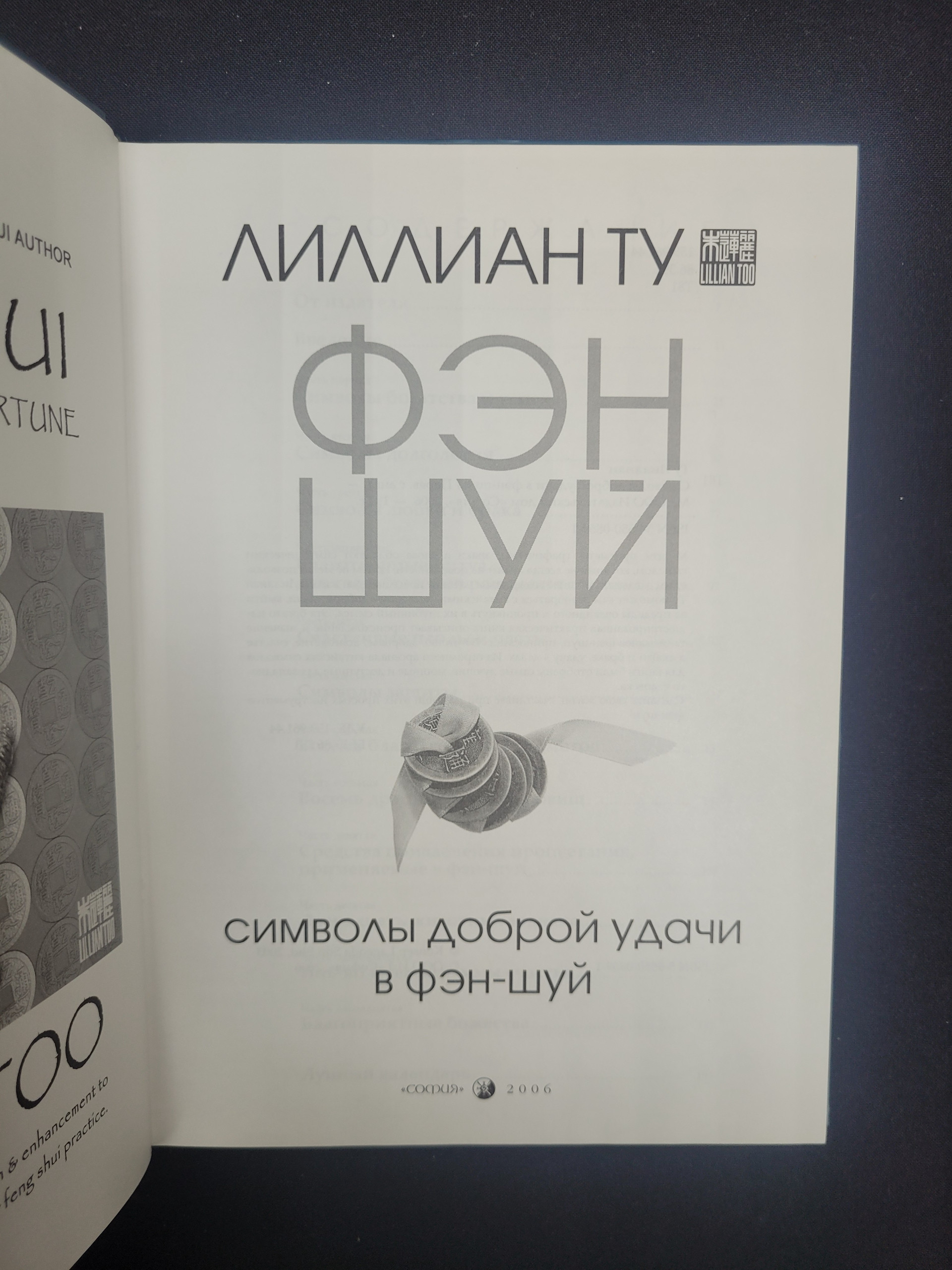 Картинка 4