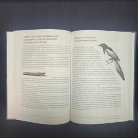 Картинка 5