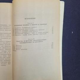 Картинка 6