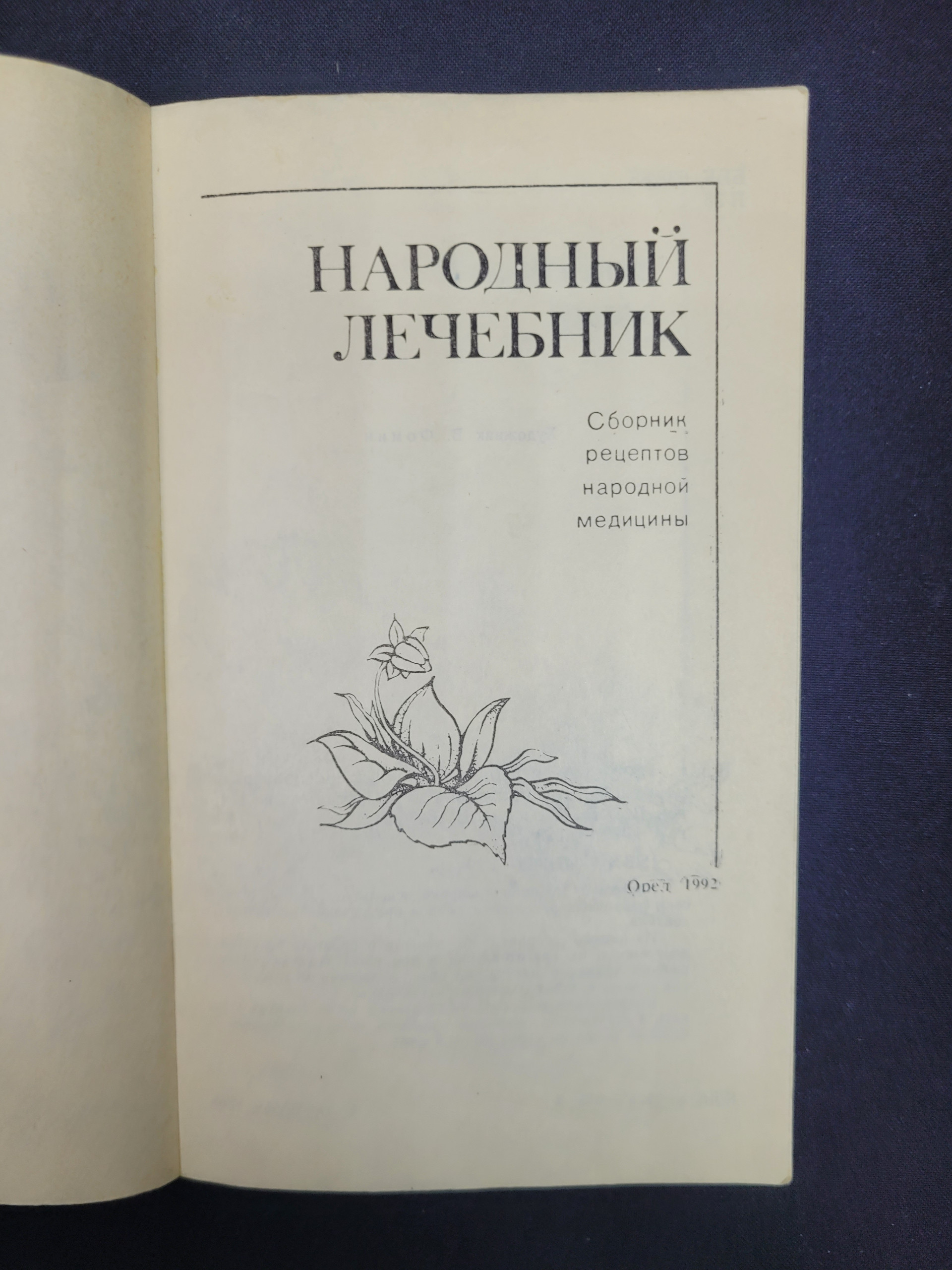 Картинка 3