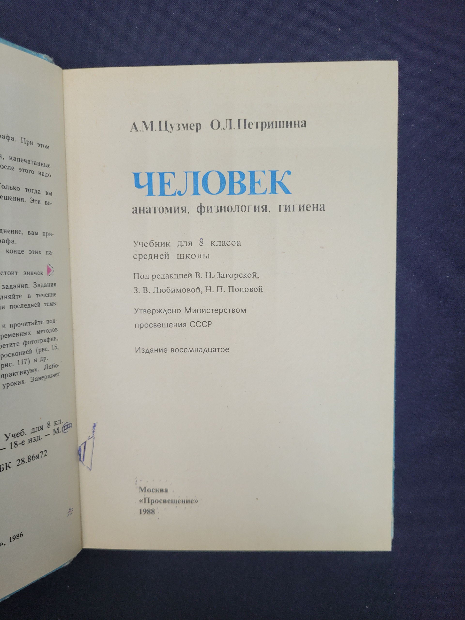 Картинка 4