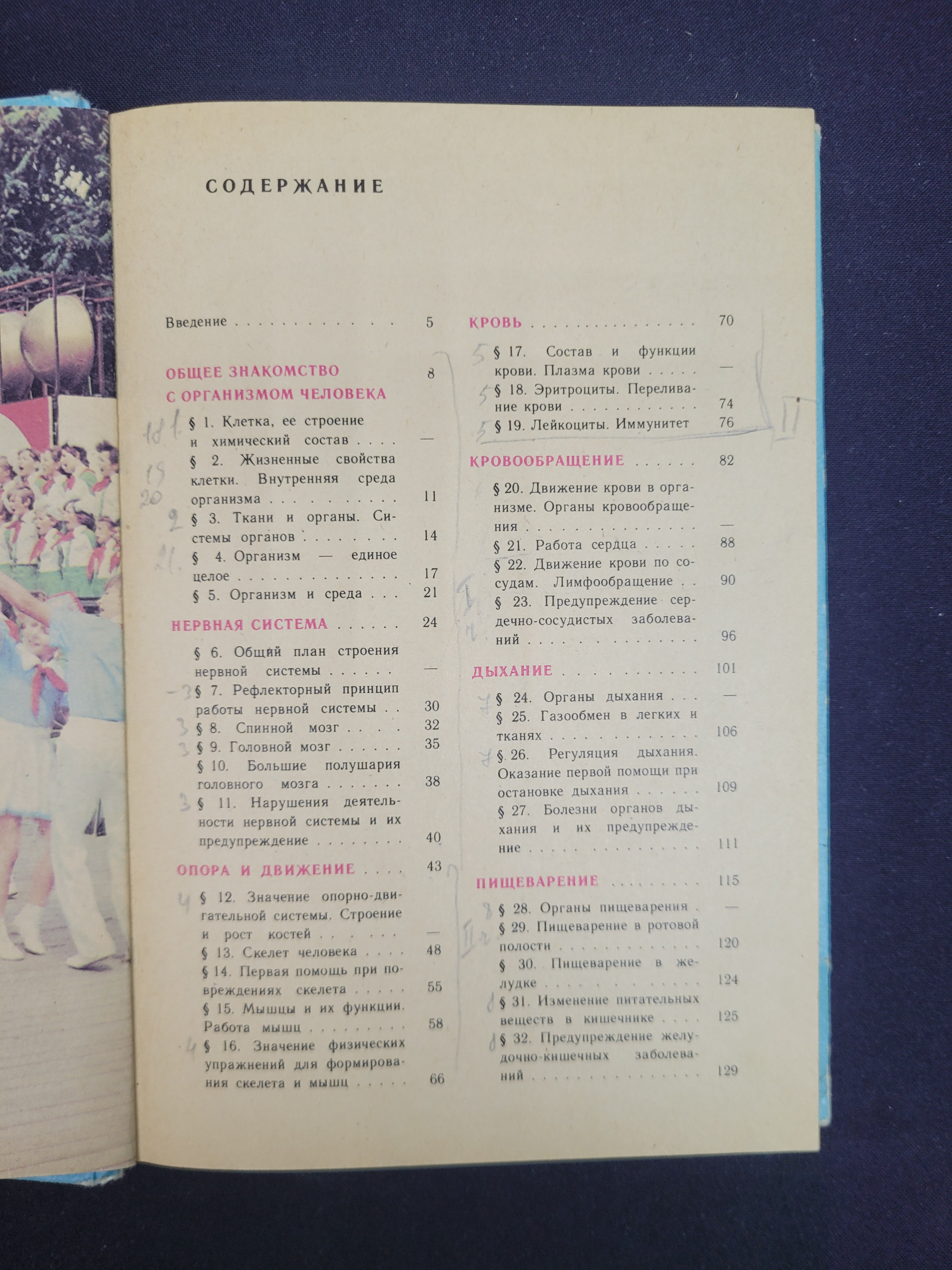 Картинка 6
