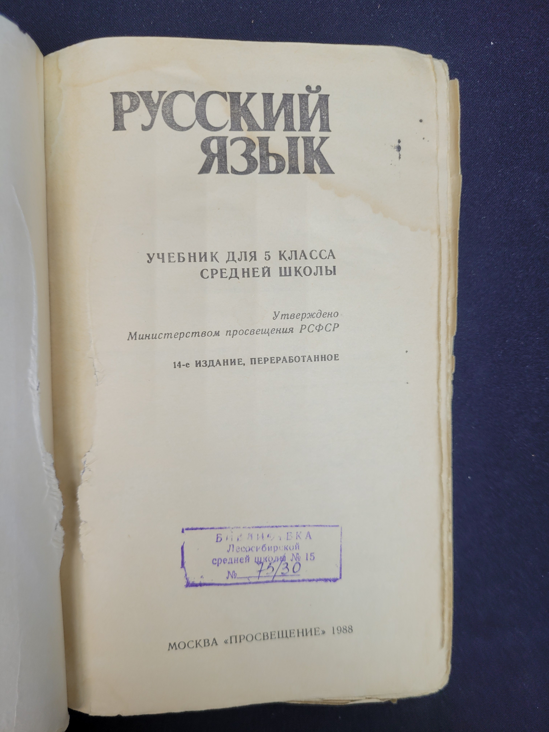 Картинка 5