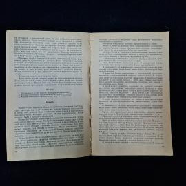 Картинка 7