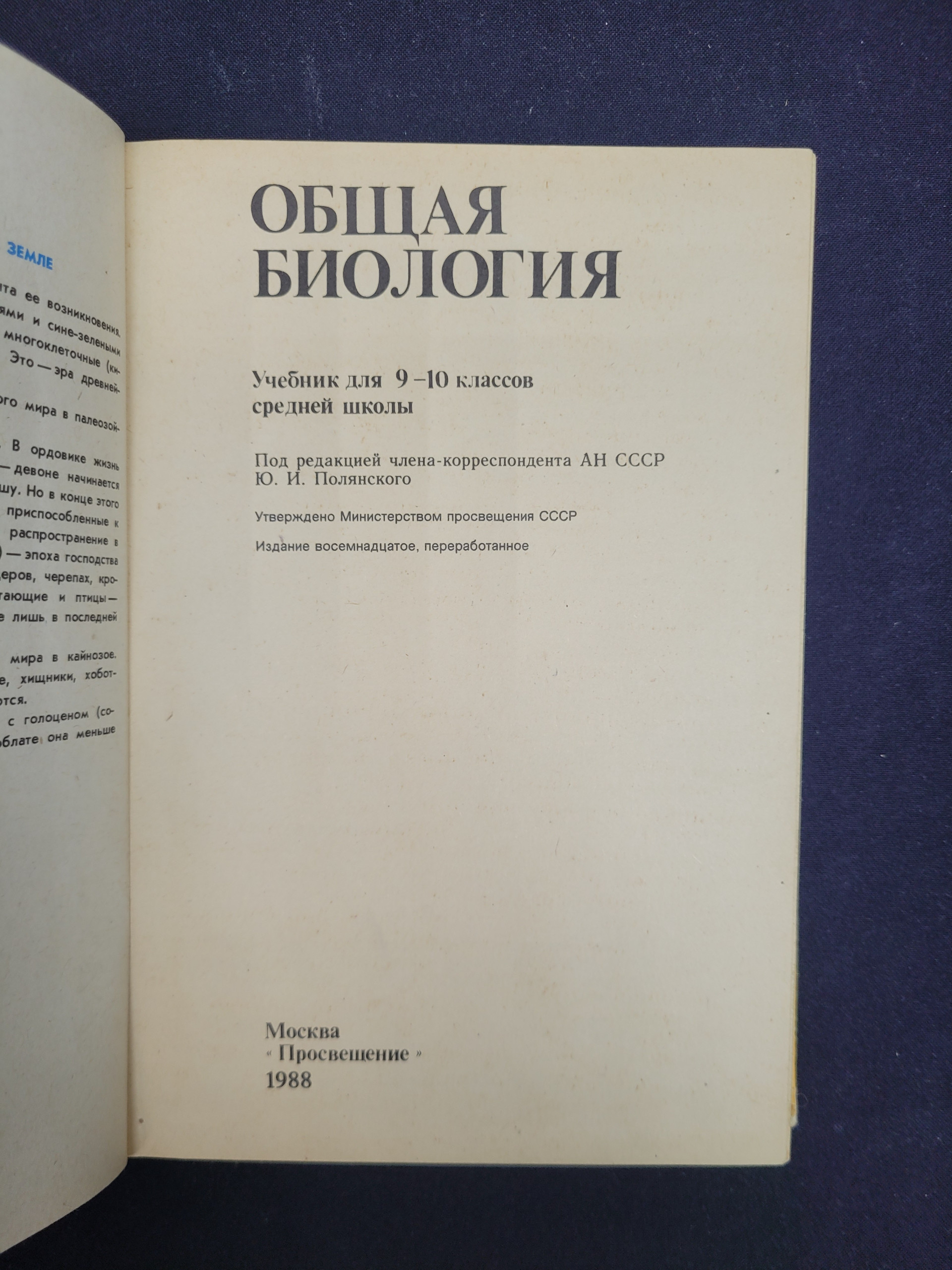 Картинка 4