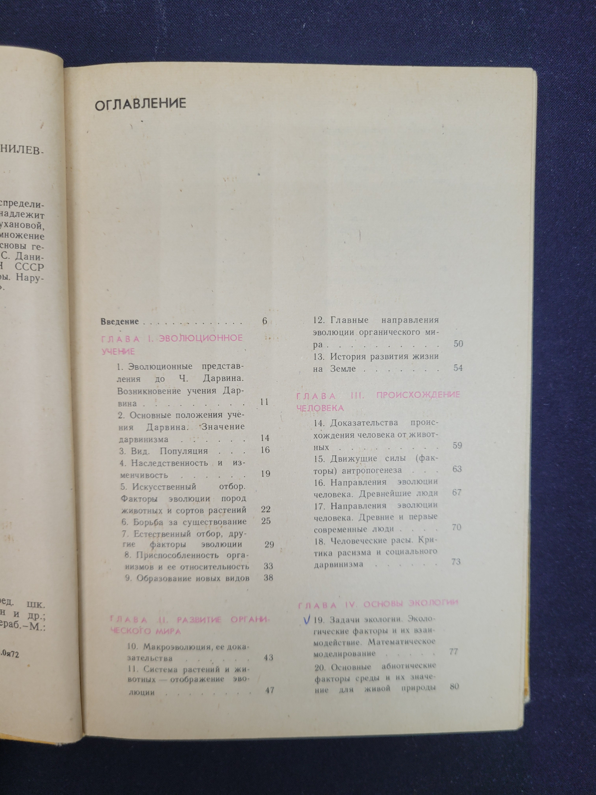 Картинка 6