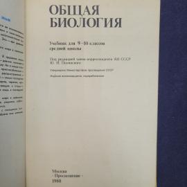 Картинка 4