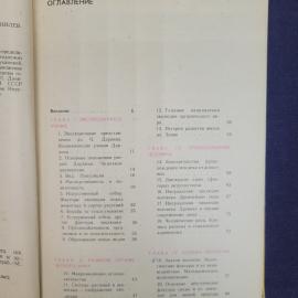 Картинка 6