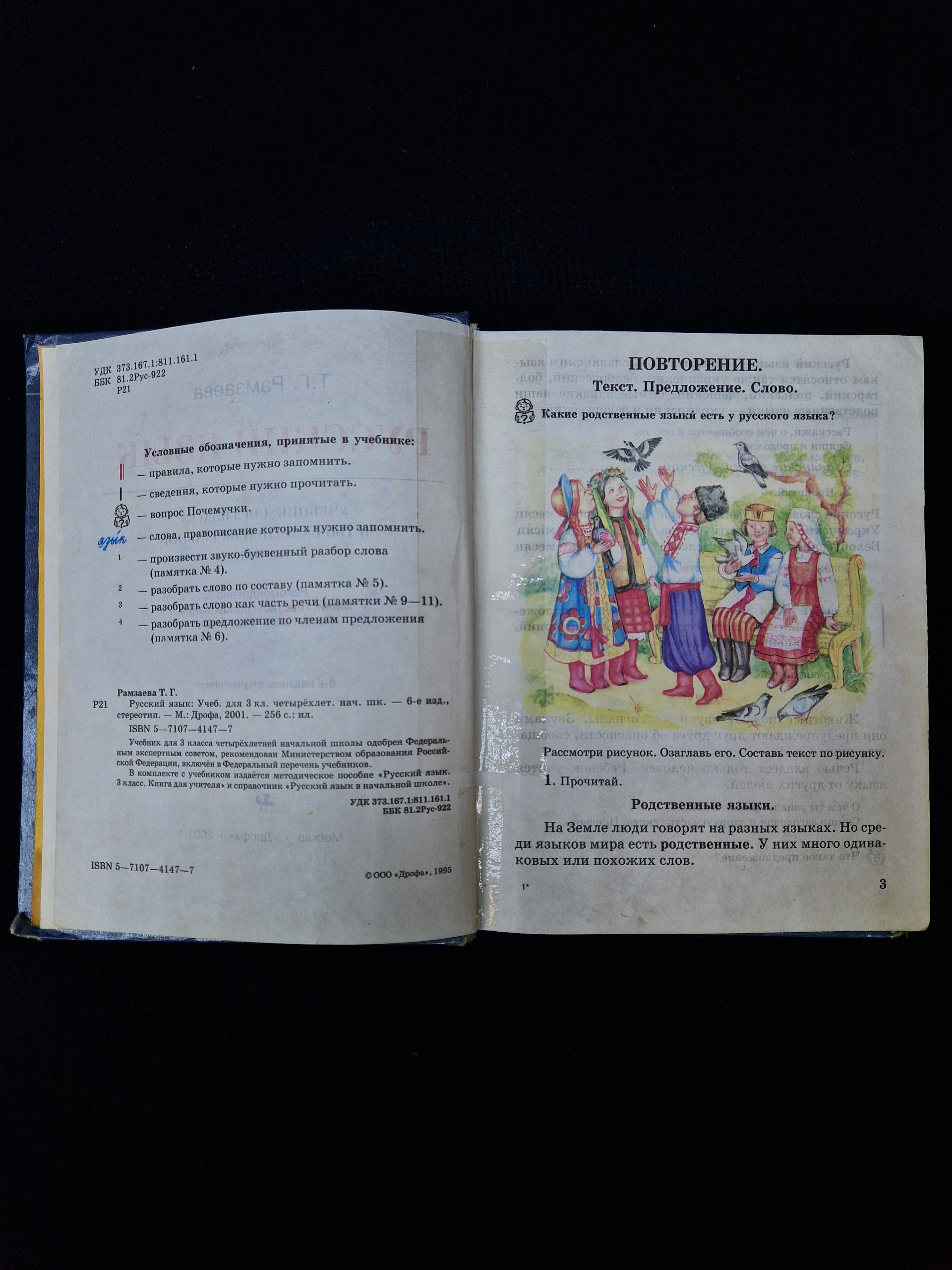 Картинка 5