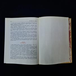 Картинка 8