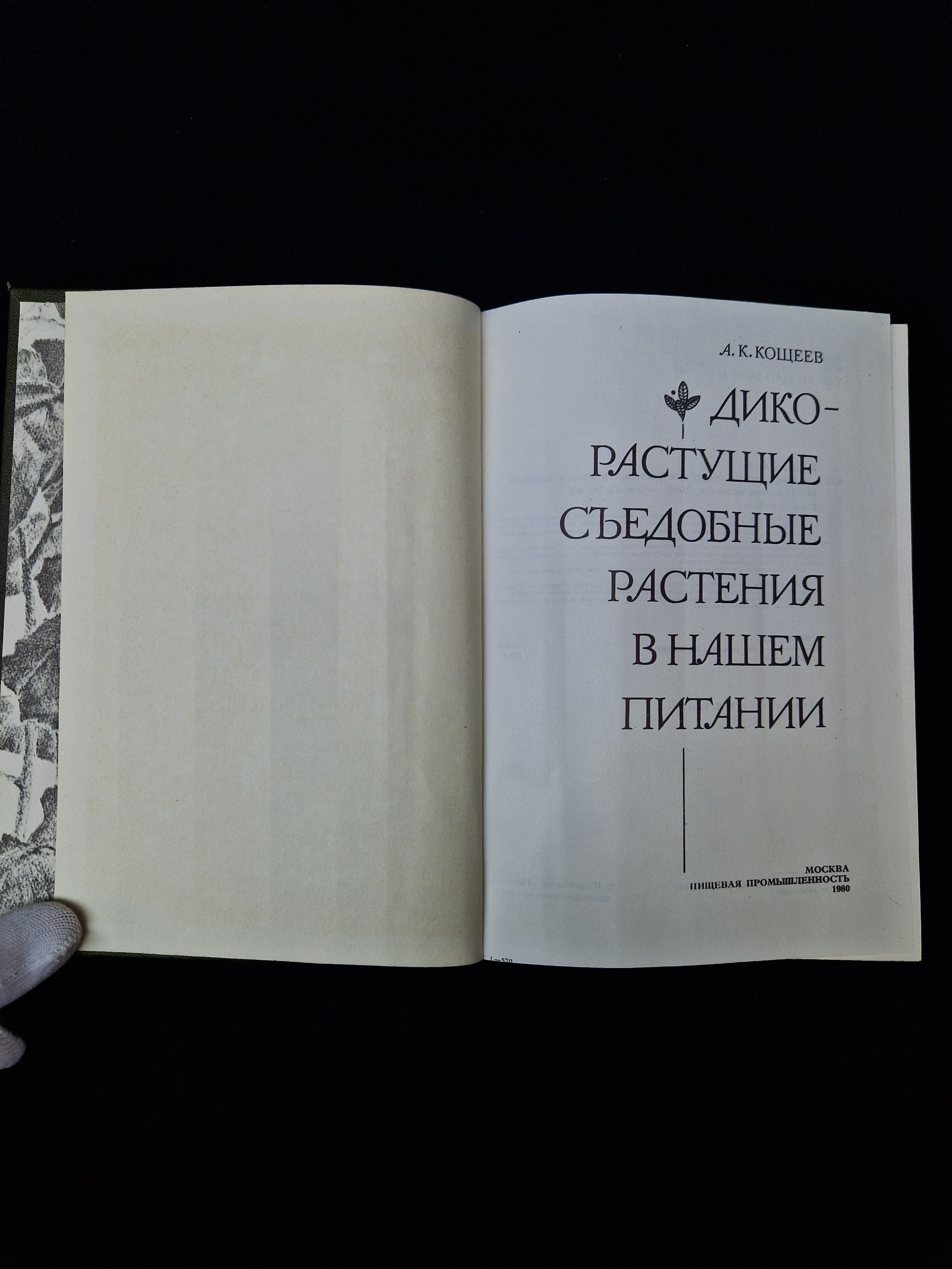 Картинка 4